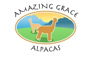 Amazing-Grace-Logo
